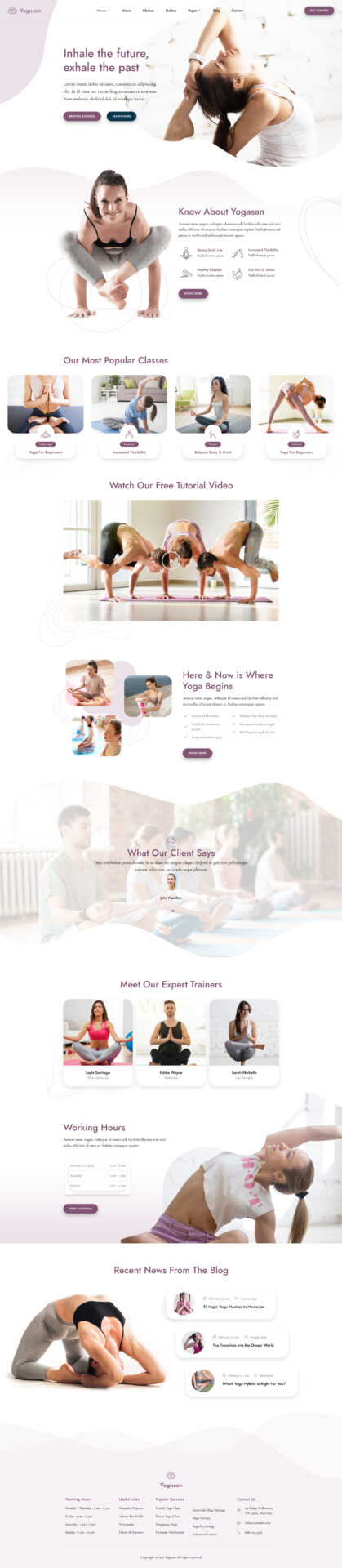 Responsive WordPress website design mockup